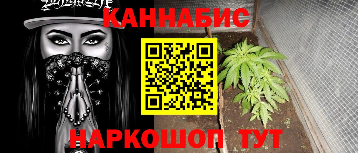 Бошки марихуана тримм  Бошки Шишки тримм  МАРИХУАНА THC 21%  Ростов Великий  Вход с VPN  Конопля гибрид 